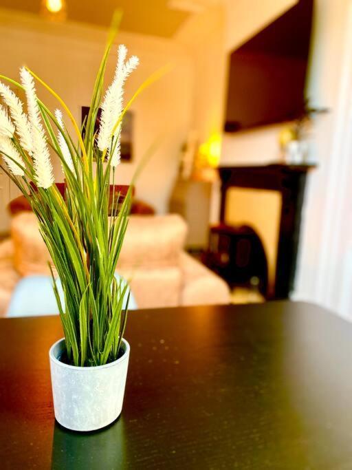 Anchored Homely Apartment In Historic Centre พาสเลย์ ภายนอก รูปภาพ